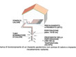 Pompe di calore geotermiche